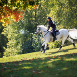 Entry image for Kayla Bloede