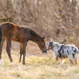 Entry image for Corrin Hupp