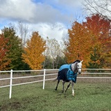 Entry image for Daisy Rakan