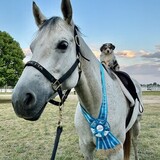 Entry image for Daisy Rakan