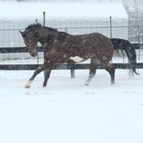 Entry image for Jessica Hein