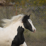 Entry image for Jessica Hein