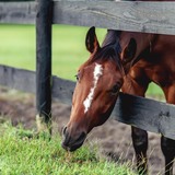 Entry image for Avid Photography - Anna Ingram