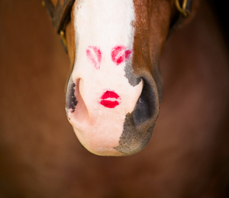 Entry image for Lauren Kemp. Clicking this image will show a larger photo