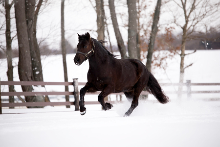 Entry image for Lauren Kemp. Clicking this image will show a larger photo