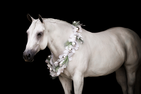 Entry image for Lauren Kemp. Clicking this image will show a larger photo