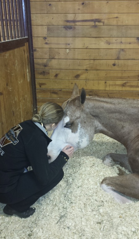 Entry image for Tracey Howard. Clicking this image will show a larger photo