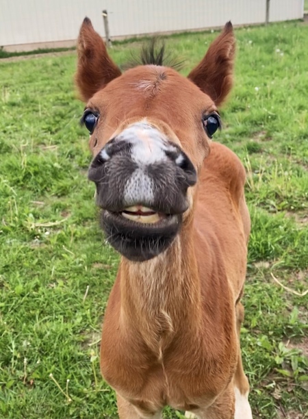 Entry image for Ashley Ball. Clicking this image will show a larger photo