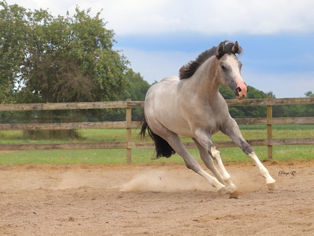 Entry image for Chrometown Hero. Clicking this image will show a larger photo