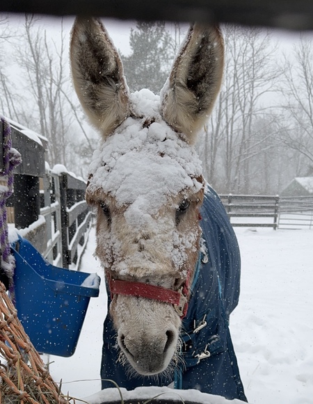 Entry image for Larry Cerio. Clicking this image will show a larger photo