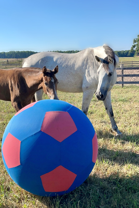 Entry image for Daisy Rakan. Clicking this image will show a larger photo