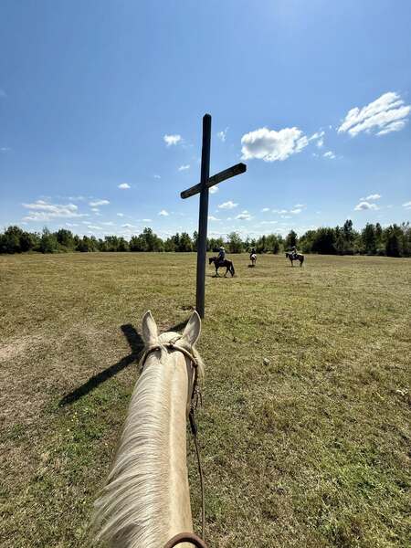 Entry image for Daisy Rakan. Clicking this image will show a larger photo