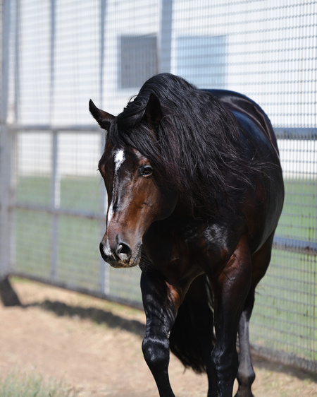 Entry image for Daisy Rakan. Clicking this image will show a larger photo