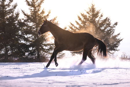 Entry image for Kayla Bloede. Clicking this image will show a larger photo