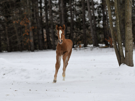 Entry image for Daisy Rakan. Clicking this image will show a larger photo