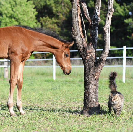 Entry image for Daisy Rakan. Clicking this image will show a larger photo