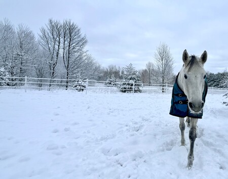 Entry image for Daisy Rakan. Clicking this image will show a larger photo