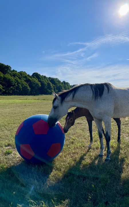 Entry image for Daisy Rakan. Clicking this image will show a larger photo