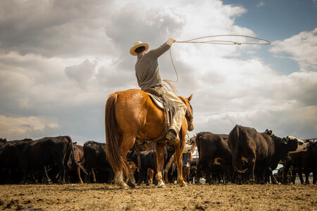 Entry image for Dylan Davidson. Clicking this image will show a larger photo