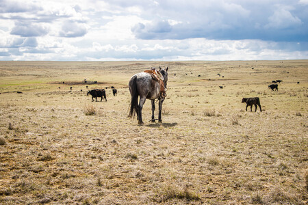 Entry image for Dylan Davidson. Clicking this image will show a larger photo