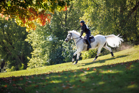 Entry image for Kayla Bloede. Clicking this image will show a larger photo