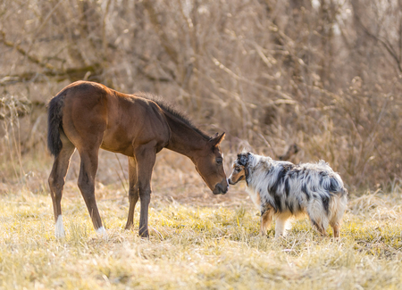 Entry image for Corrin Hupp. Clicking this image will show a larger photo