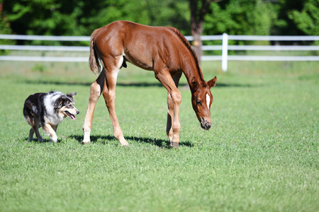 Entry image for Daisy Rakan. Clicking this image will show a larger photo