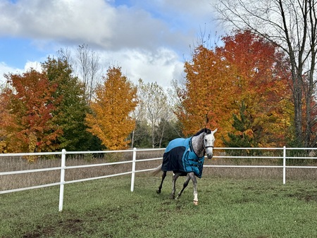 Entry image for Daisy Rakan. Clicking this image will show a larger photo