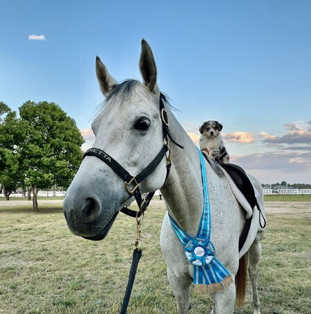 Entry image for Daisy Rakan. Clicking this image will show a larger photo