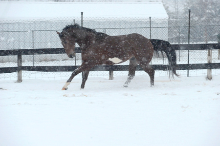 Entry image for Jessica Hein. Clicking this image will show a larger photo