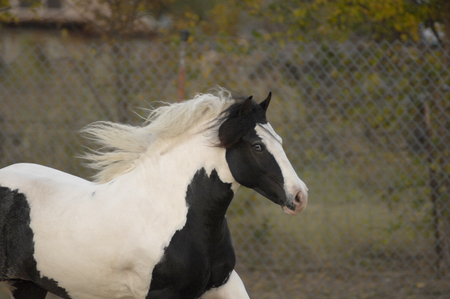 Entry image for Jessica Hein. Clicking this image will show a larger photo