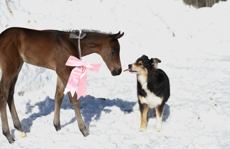 Entry image for Daisy Rakan. Clicking this image will show a larger photo