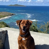 Entry image for Cruzan