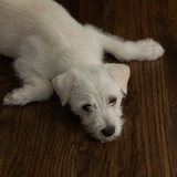 Entry image for Sandi