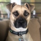 Entry image for Geronimo *Nimo*