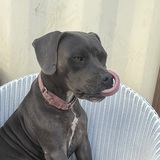 Entry image for Sierra