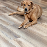 Entry image for Echo