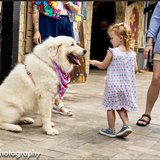 Entry image for Bianca