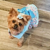 Entry image for Bella 