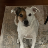 Entry image for Croix