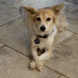 Entry image for Jack