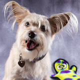 Entry image for Chaney