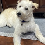 Entry image for Henry