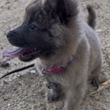 Entry image for Carley