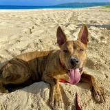 Entry image for Patty YoYo