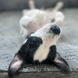 Entry image for Maggie Mae