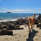 Entry image for Buckley