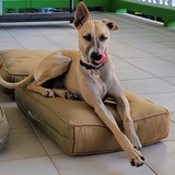 Entry image for Cameron (Cami)