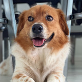 Entry image for Happy