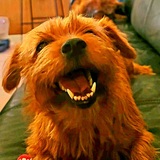 Entry image for Oli Girl